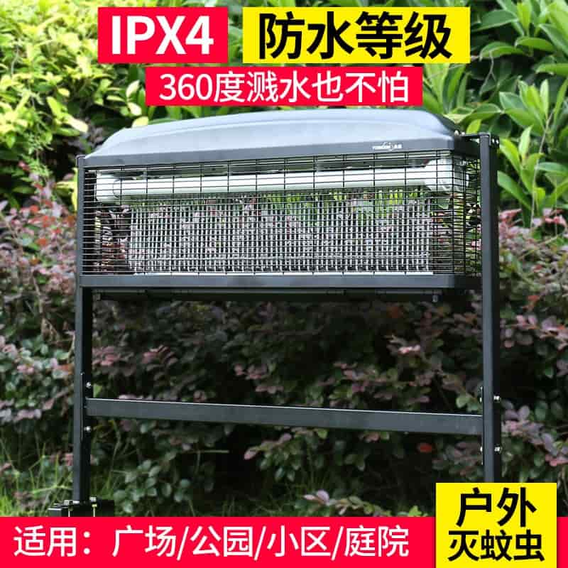 未来脉搏：预测公司的征途